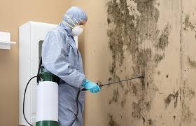 Biohazard Mold Removal in Nellysford, VA